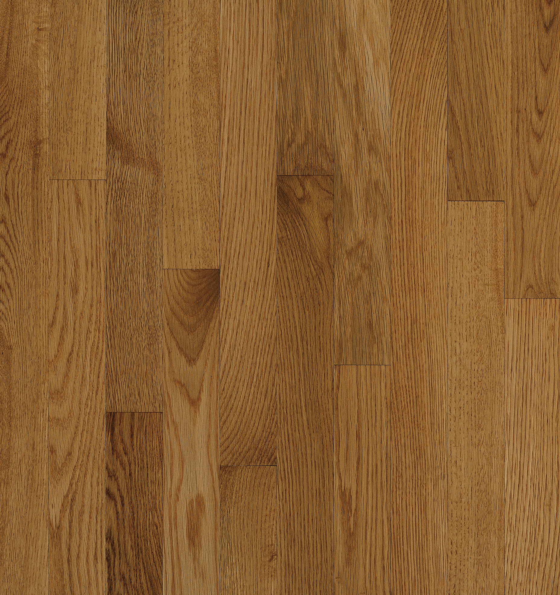 Bruce Solid Hardwood Flooring Oak Natural Choice Spice 2 1/4" C5012