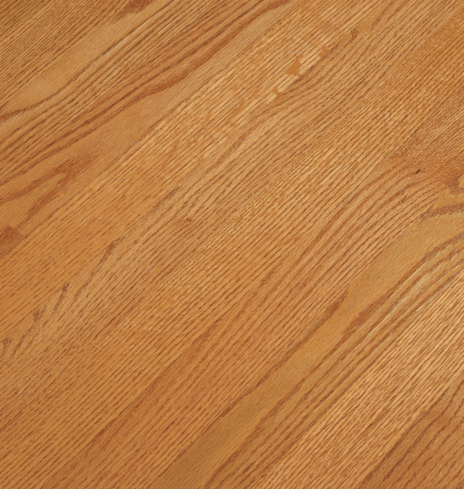 Bruce Solid Hardwood Flooring Oak Natural Choice Butterscotch 2 1/4" C5016