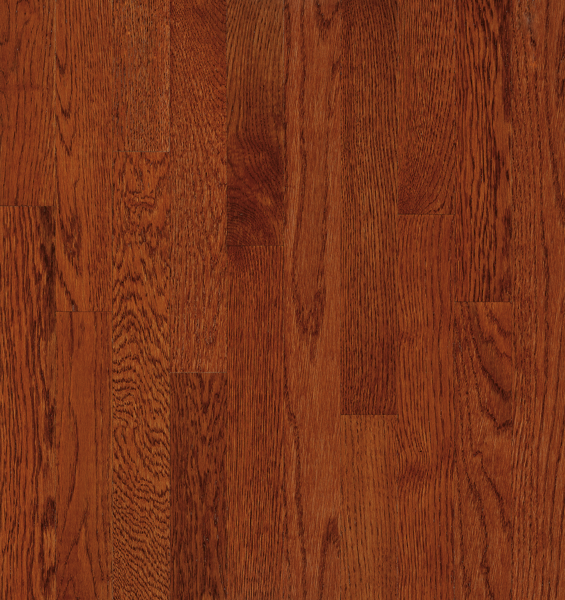 Bruce Solid Hardwood Flooring Oak Natural Choice Amber 2 1/4" C5060