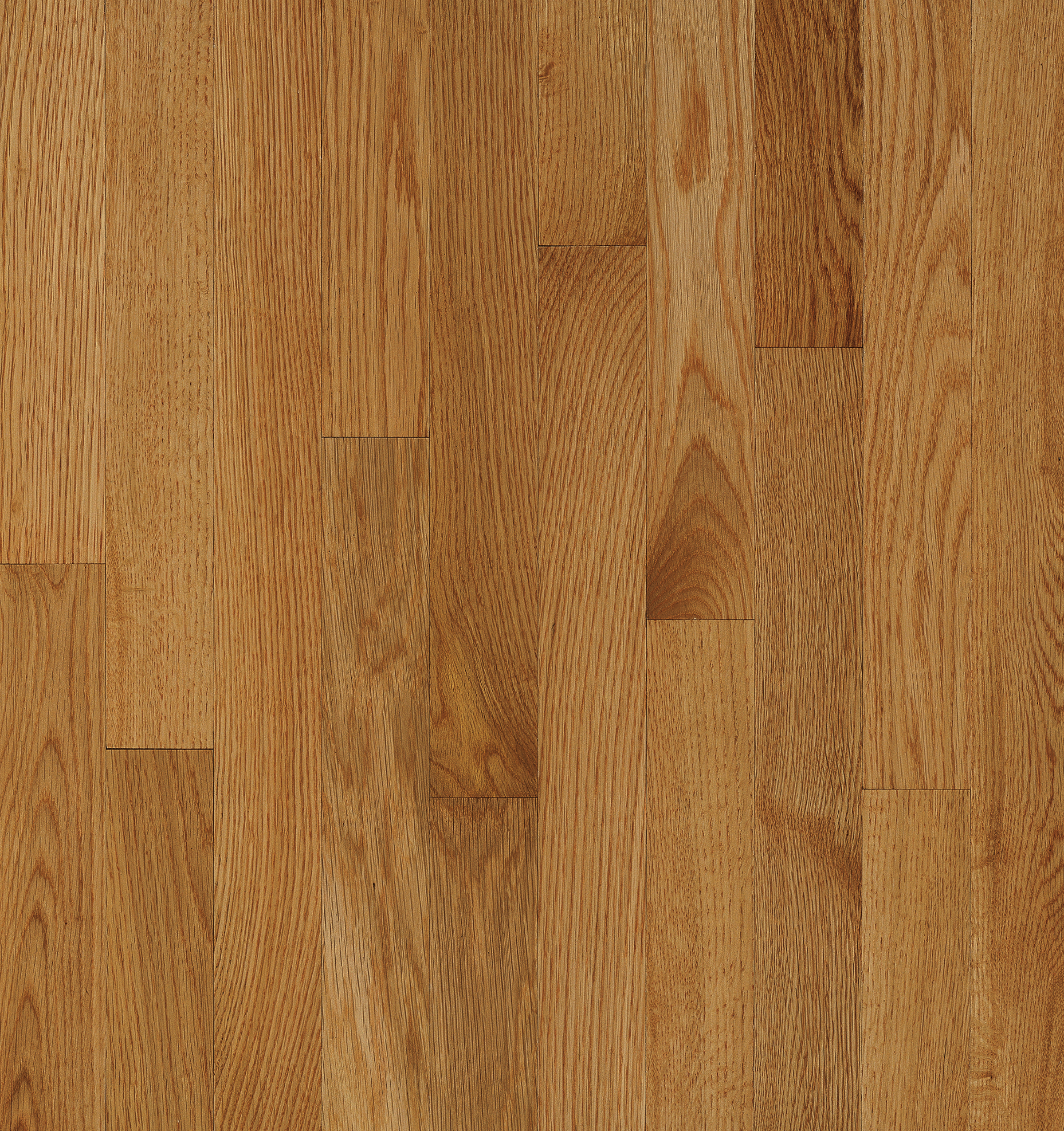 Bruce Solid Hardwood Flooring Oak Natural Choice Desert Natural 2 1/4" C5061