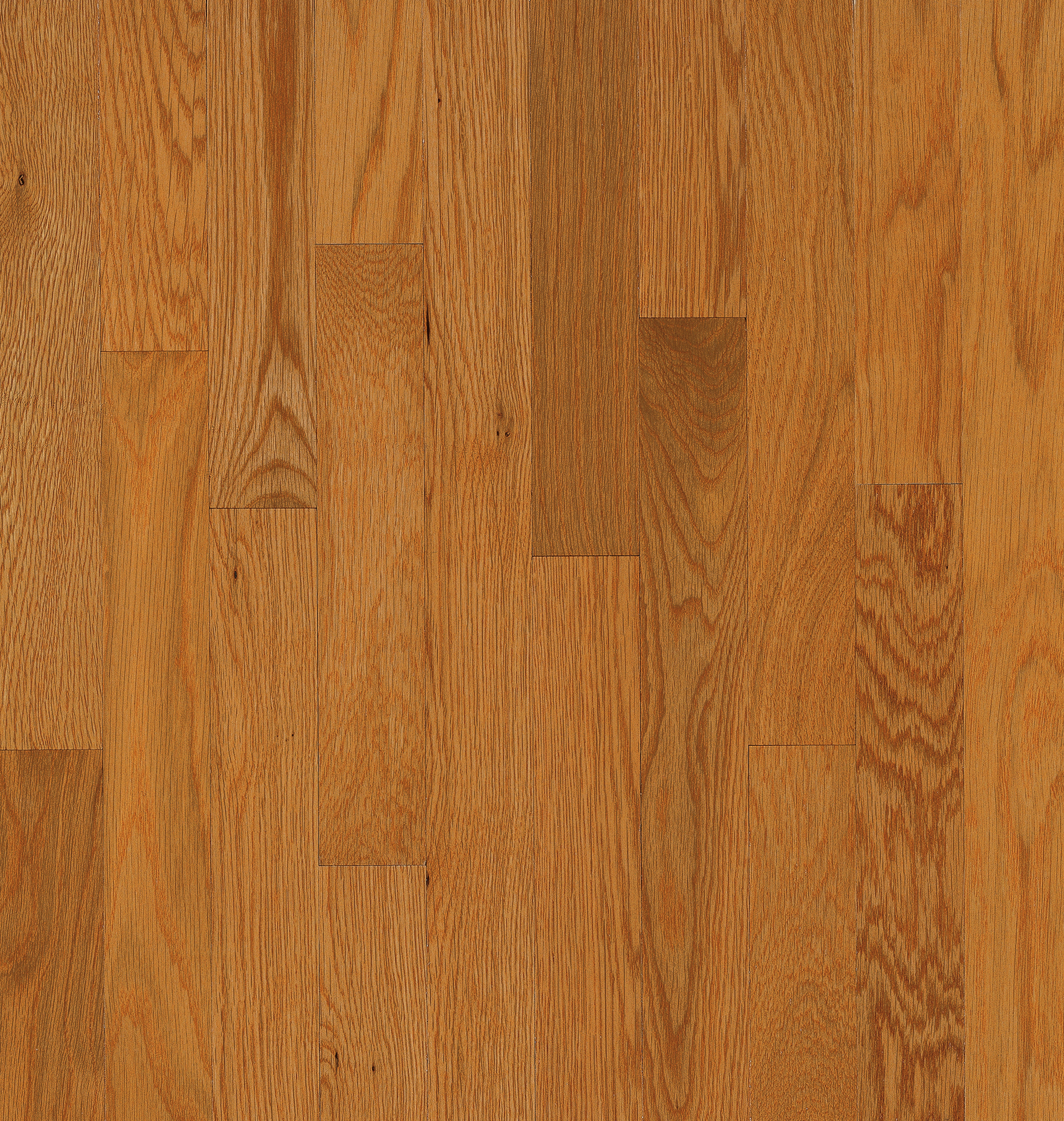 Bruce Solid Hardwood Flooring Oak Natural Choice Butter Rum/Toffee 2 1/4" C5216LG