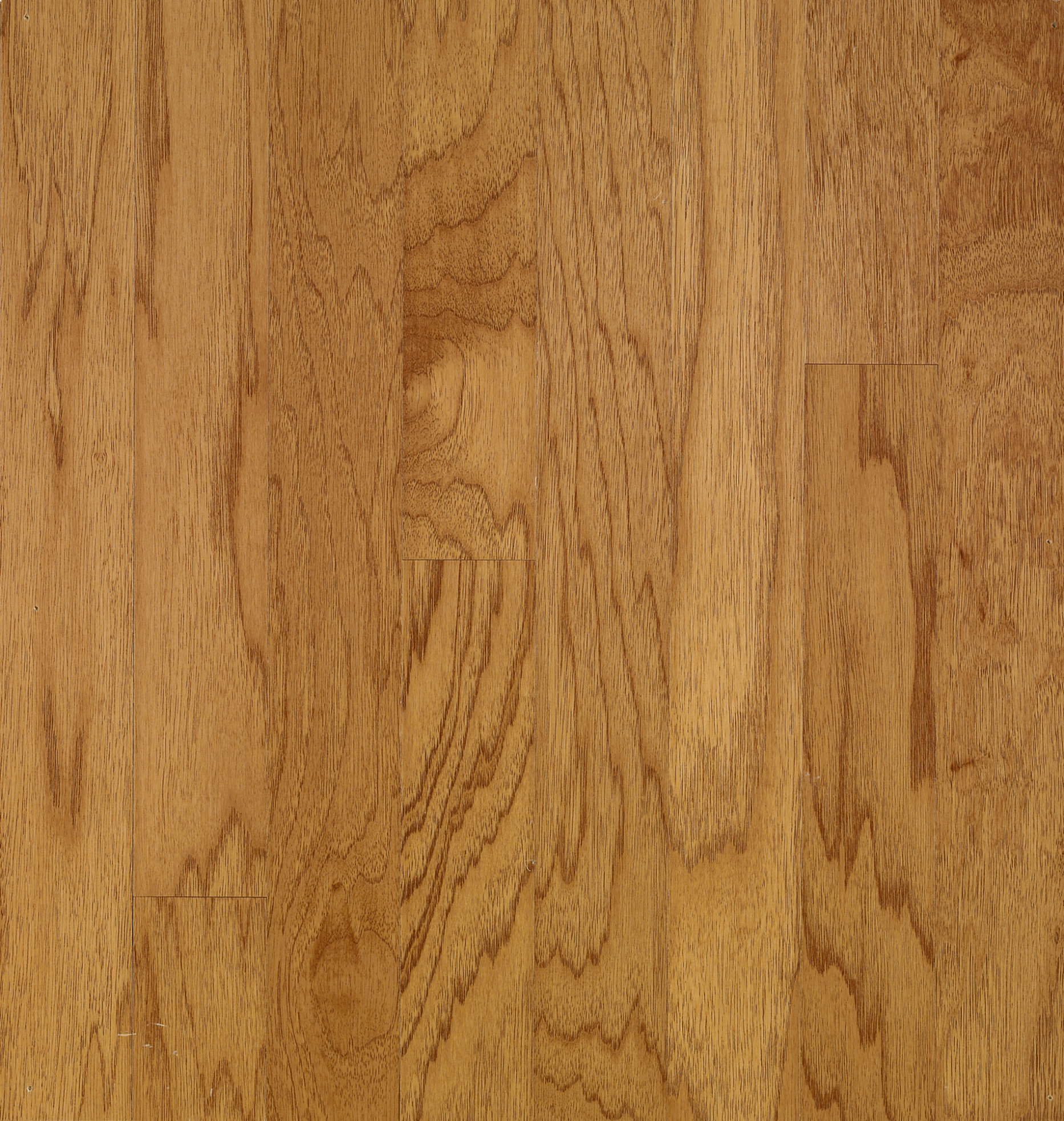 Bruce Solid Hardwood Flooring Hickory American Treasures Smokey Topaz 5" C5778