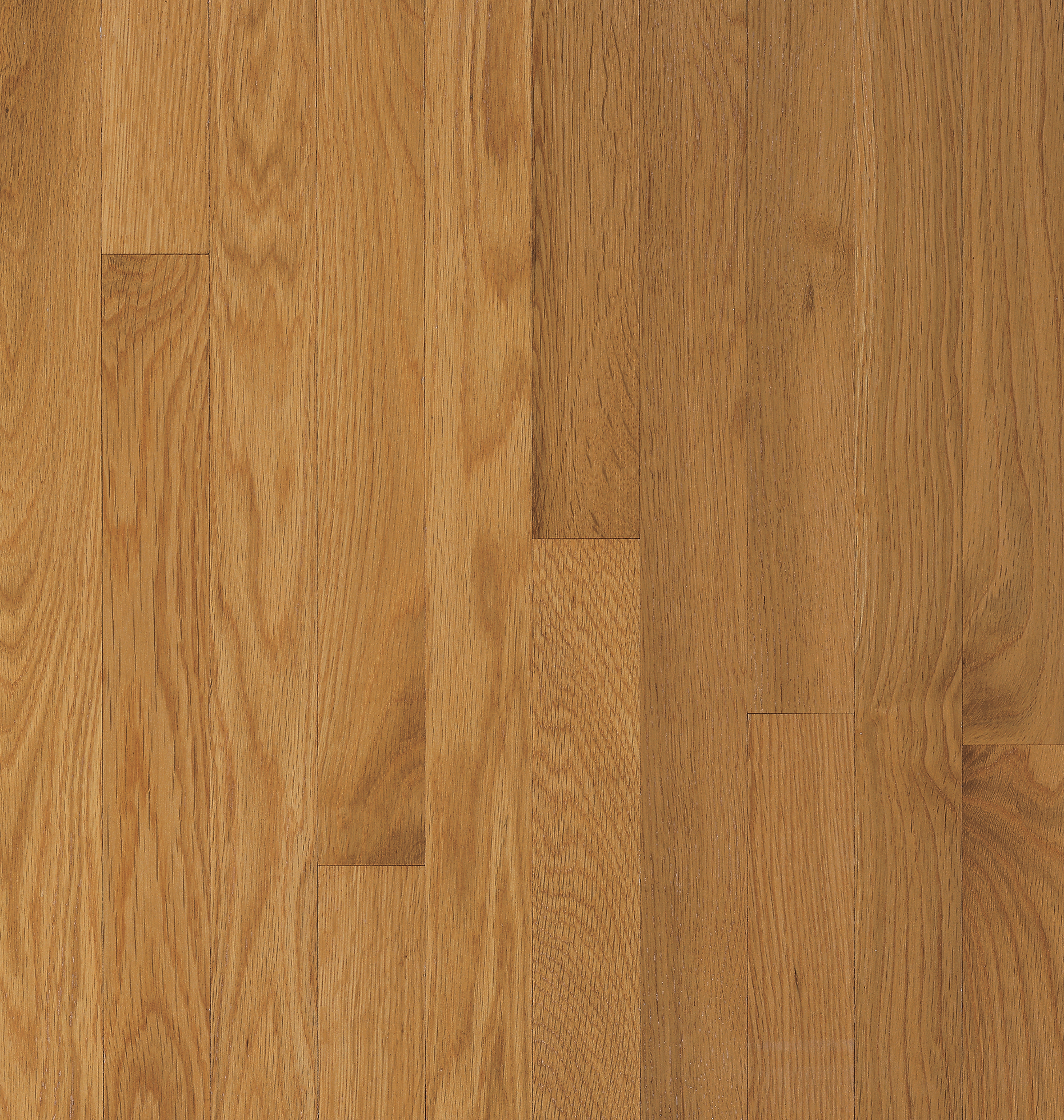 Bruce Solid Hardwood Flooring Oak Waltham Cornsilk 2 1/4" C8239