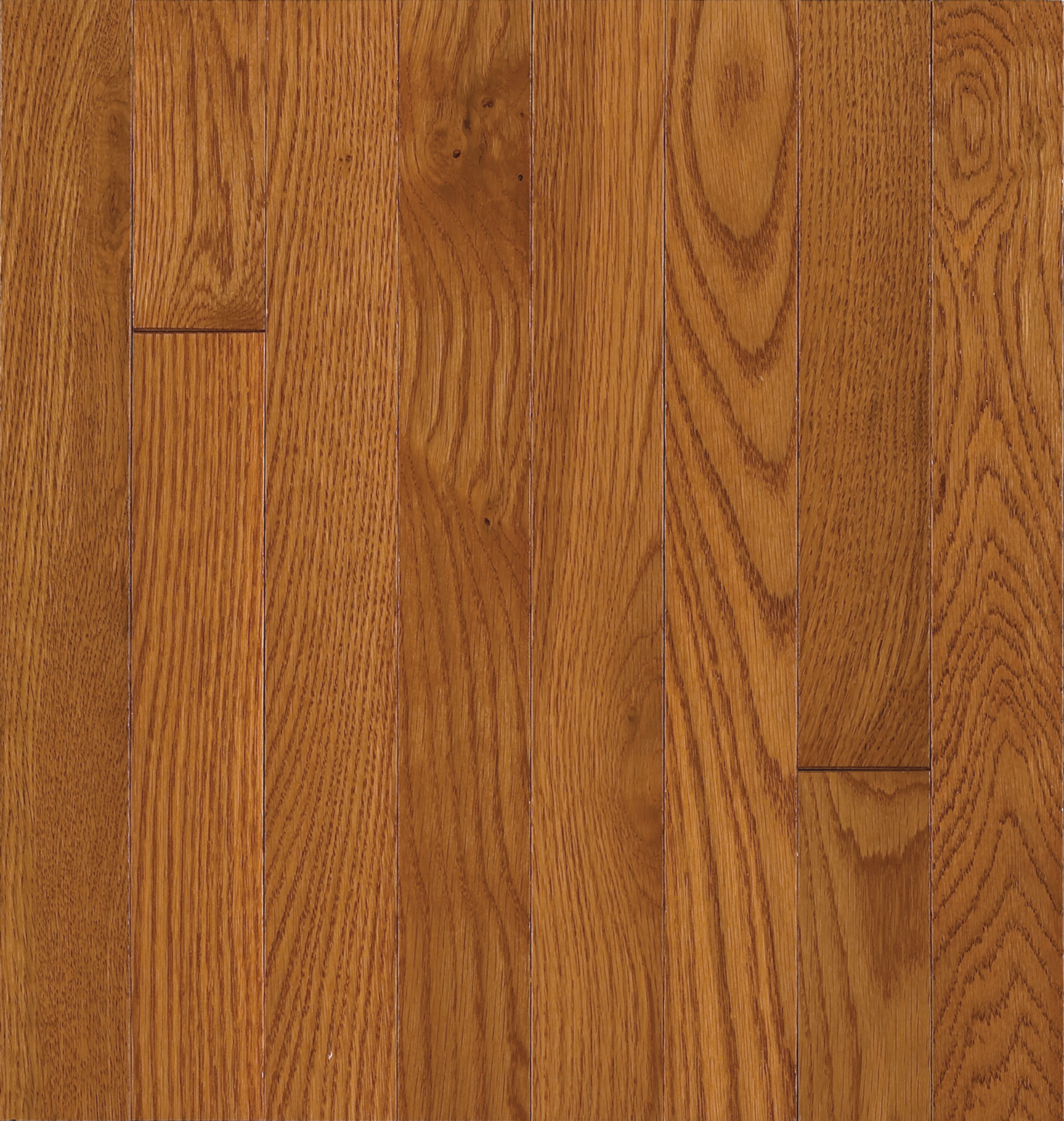 Bruce Solid Hardwood Flooring Oak Waltham Brass 2 1/4" C8240