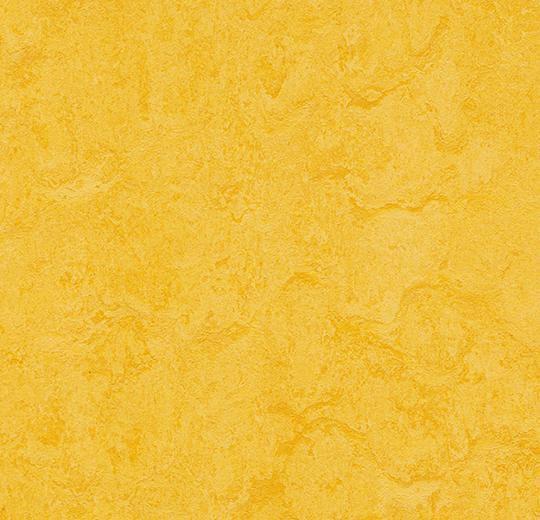 Forbo Marmoleum Modular Tile T3251-156499 Lemon Zest 19.69" x 19.69" Linoleum Tile Flooring (53.82 SF/Box)