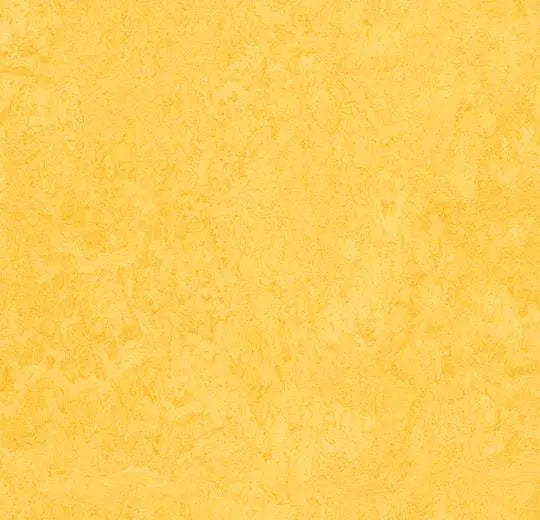 Forbo Marmoleum Modular Color T3251 Lemon Zest 19.69" x 19.69" Linoleum Tile Flooring