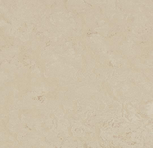 Forbo Marmoleum Modular Shade T3711 Cloudy Sand 19.69" x 19.69" Linoleum Tile Flooring